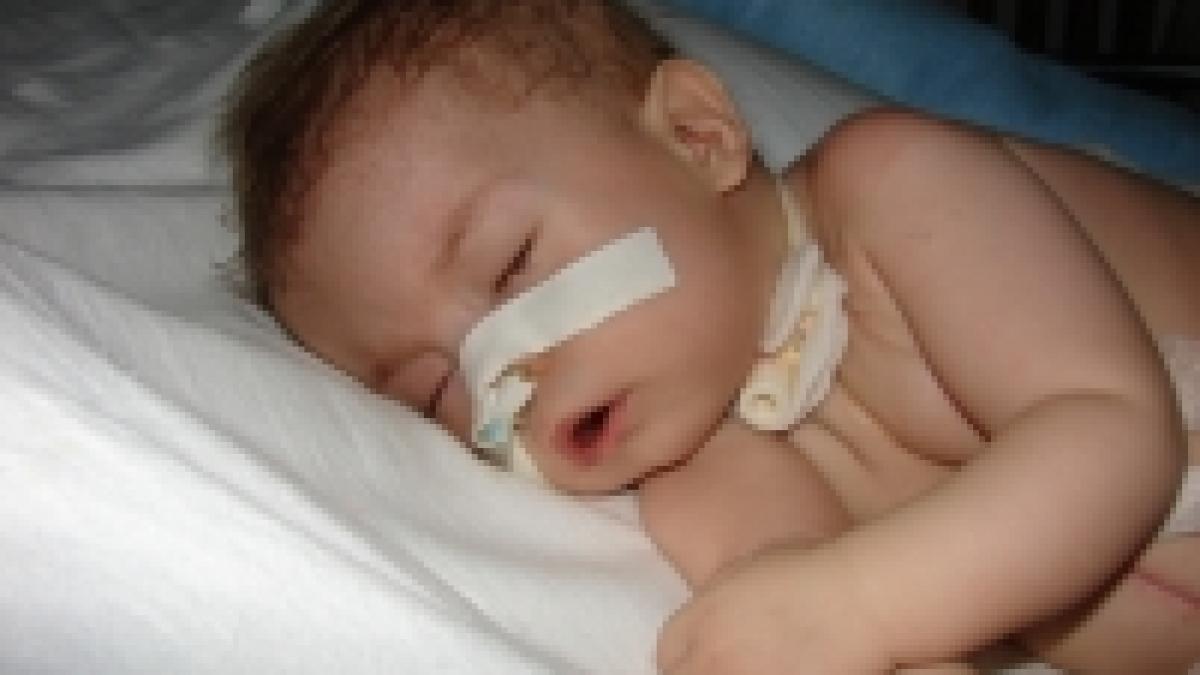 Darius are nevoie de ajutorul vostru! <font color=red>(VIDEO)</font>
