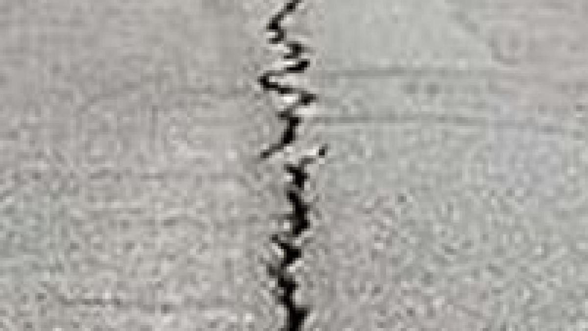 japonezii vor fi alertati cu cateva secunde inainte de un cutremur