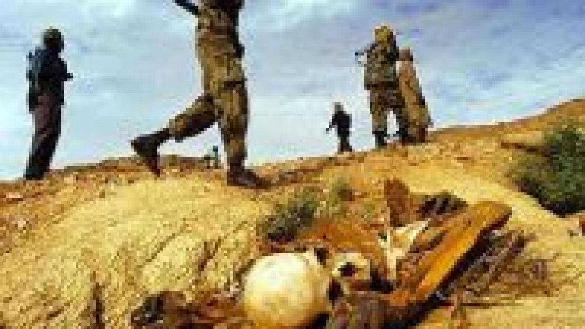 forte armate ale ue si onu detasate in darfur