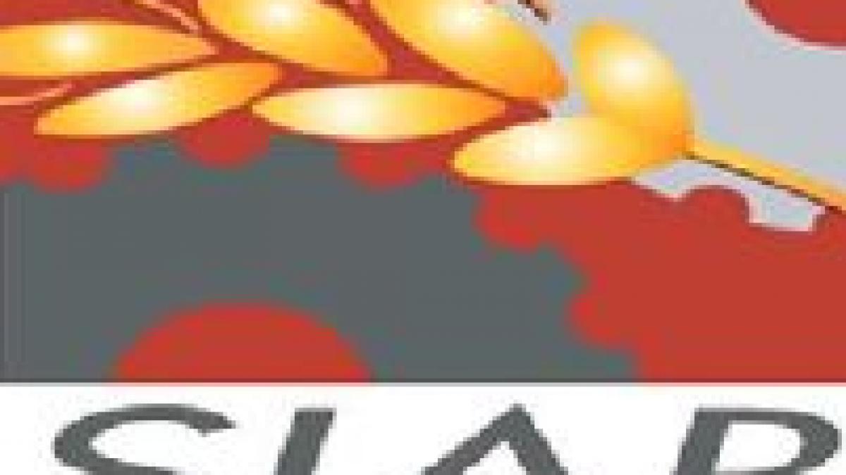 invazie americana la siab 2007 galerie foto