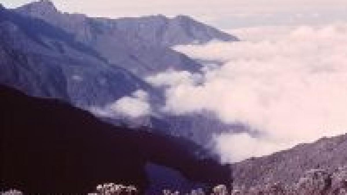 accident aviatic in congo 19 morti