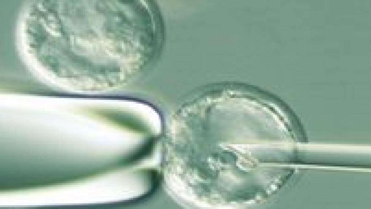 premiera romaneasca prima banca de celule stem