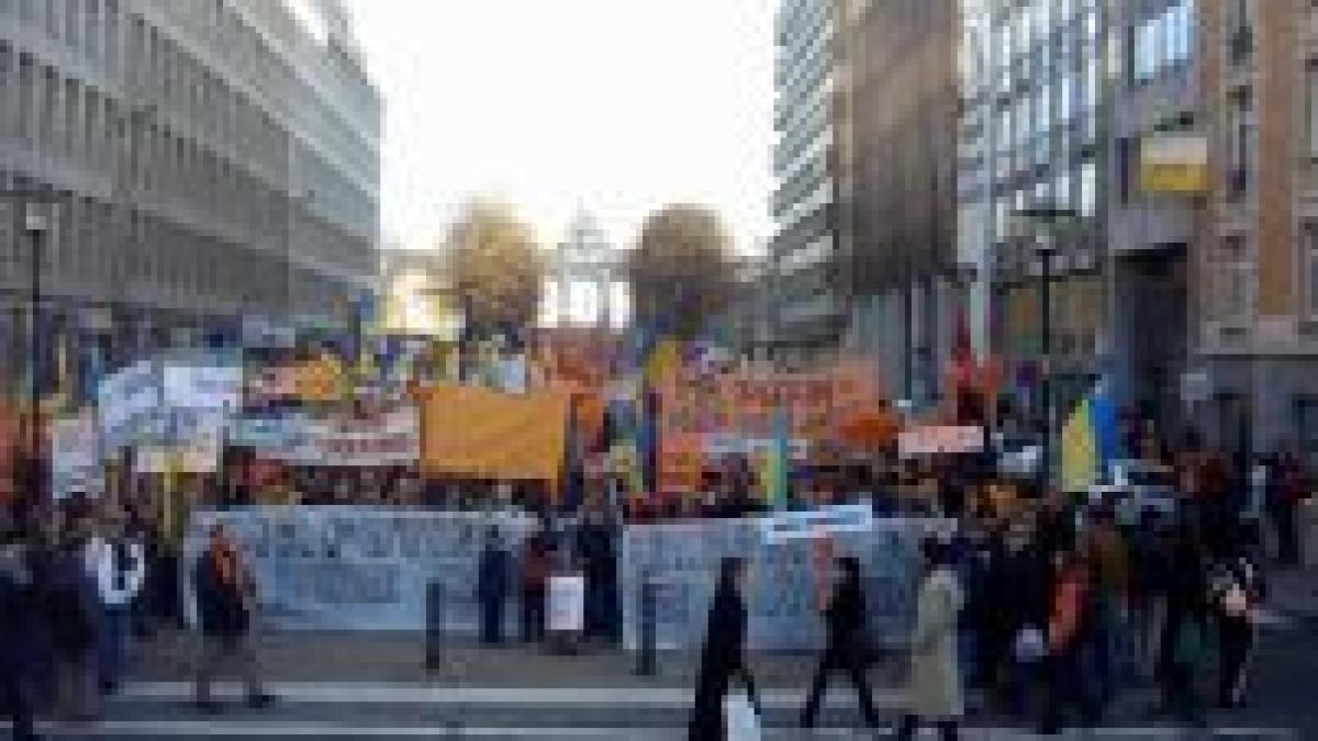 partidul regiunilor a fost declarat castigatorul alegerilor din ucraina