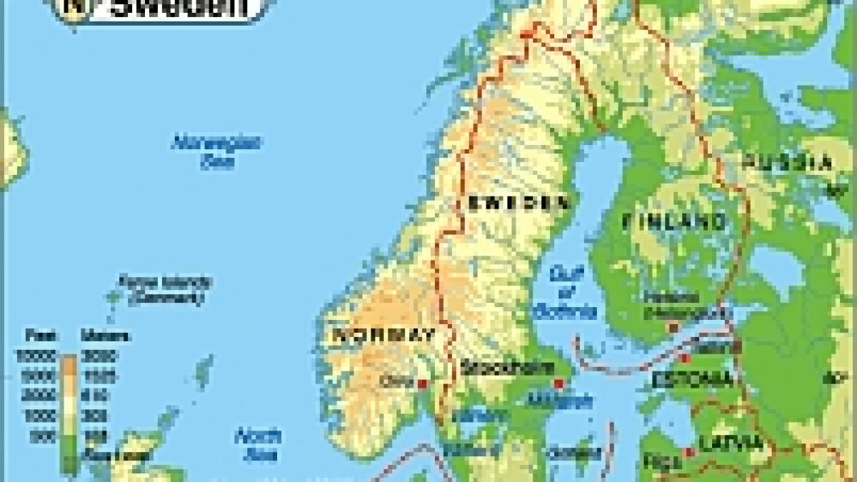 numarul imigrantilor romani in suedia a crescut cu 600