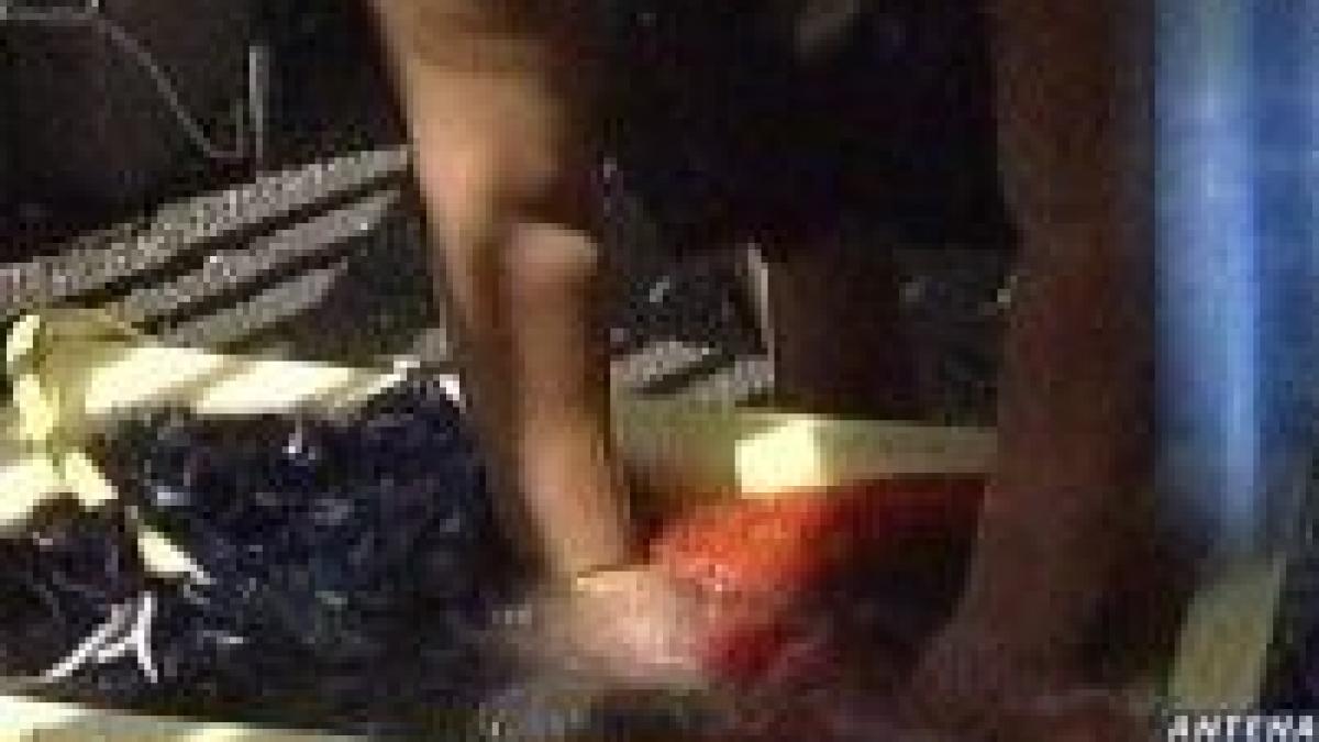 spania 38 de romani arestati pentru talharie