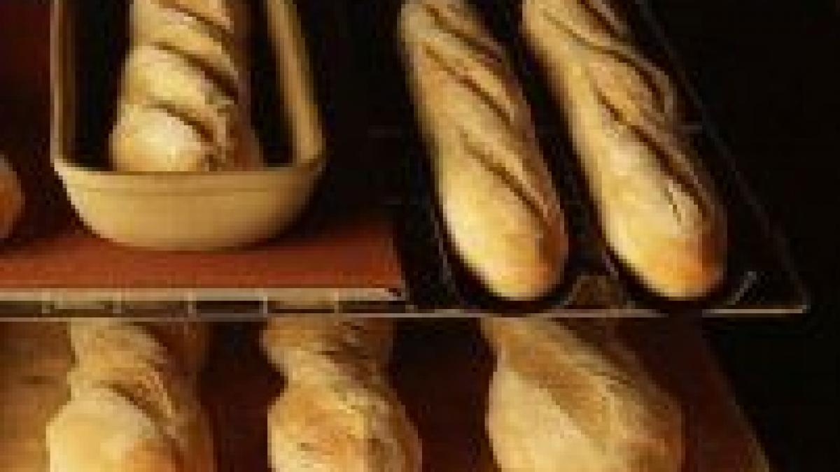 pretul painii se va majora cu 50