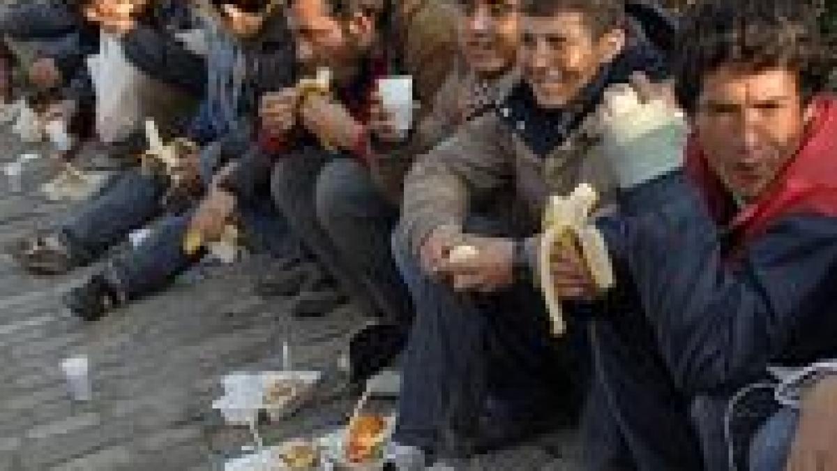 marea britanie imigrantii afecteaza sectorul privat