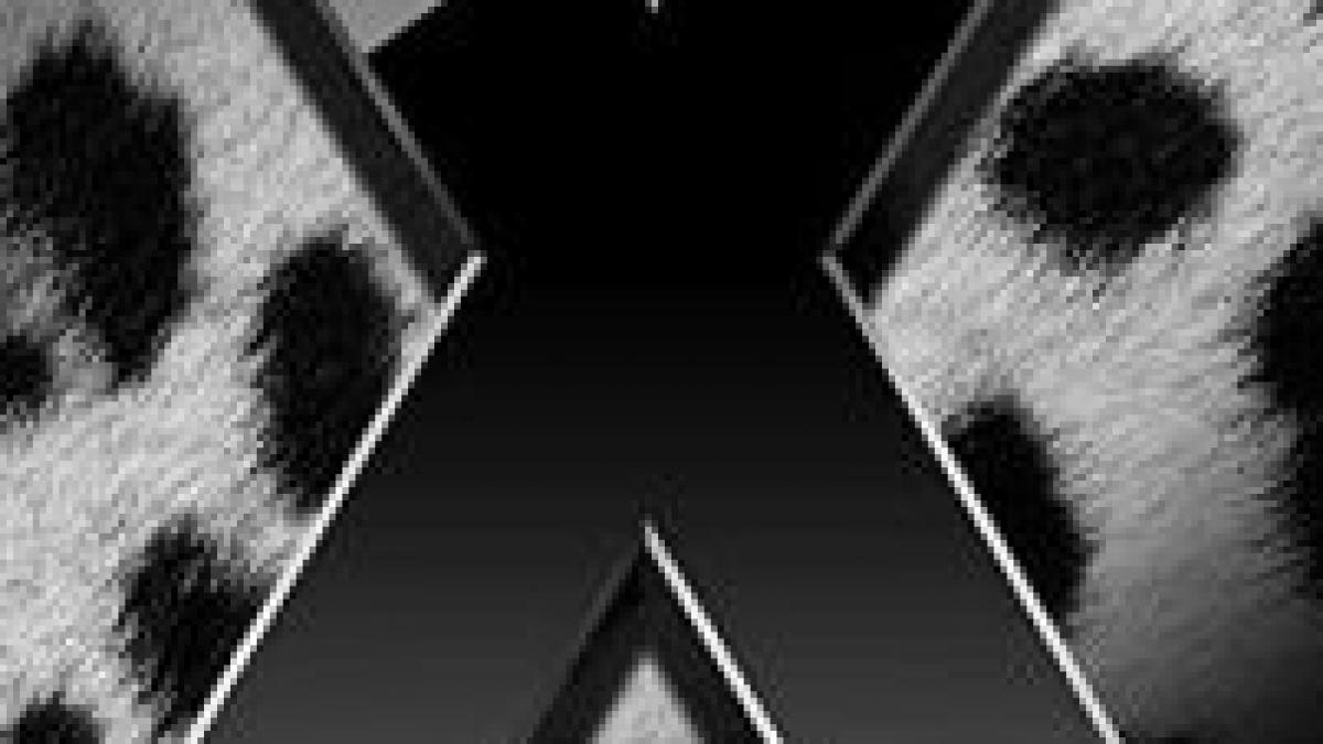 apple pune in vanzare noul sistem de operare os x leopard