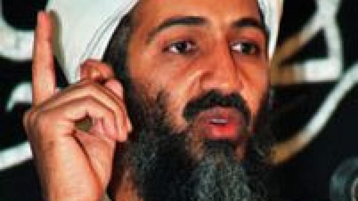 bin laden cere declansarea jihadului