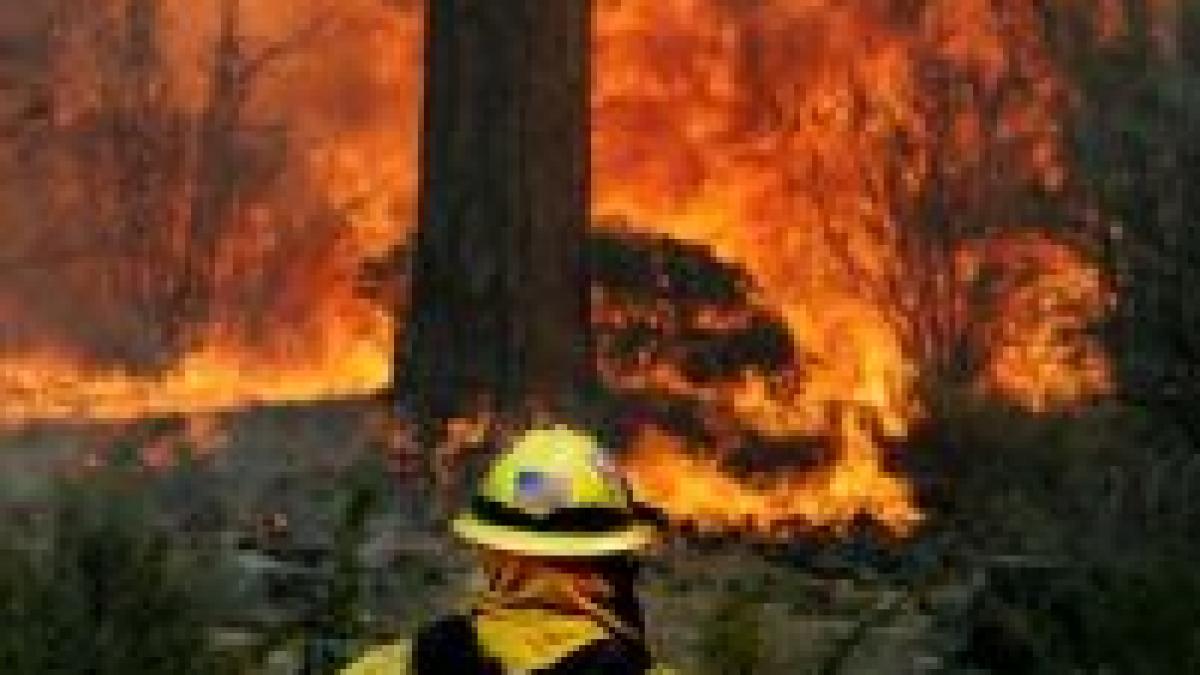 california in flacari un mort zeci de raniti 500 000 de oameni evacuati