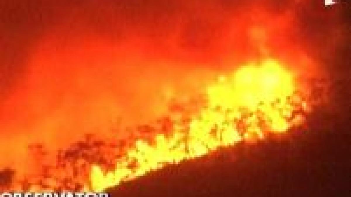 incendiile din california au scapat de sub control printre sinistrati sunt si romani