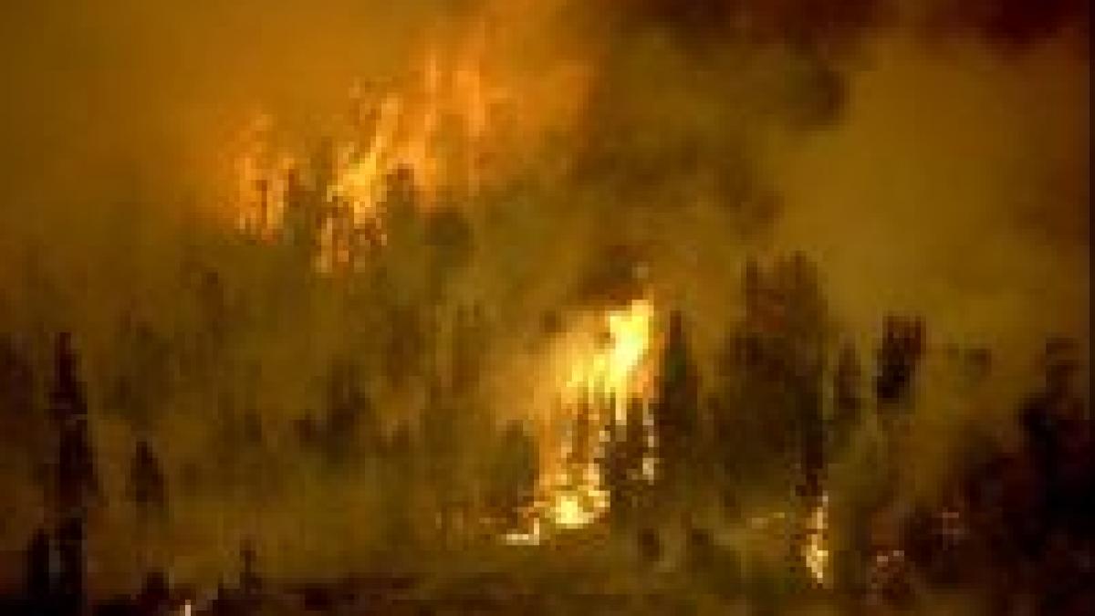 cel putin unul din incendiile din california a fost provocat intentionat