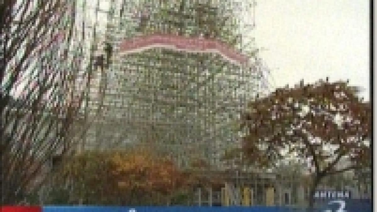 cel mai inalt brad de craciun din europa va fi ridicat in bucuresti