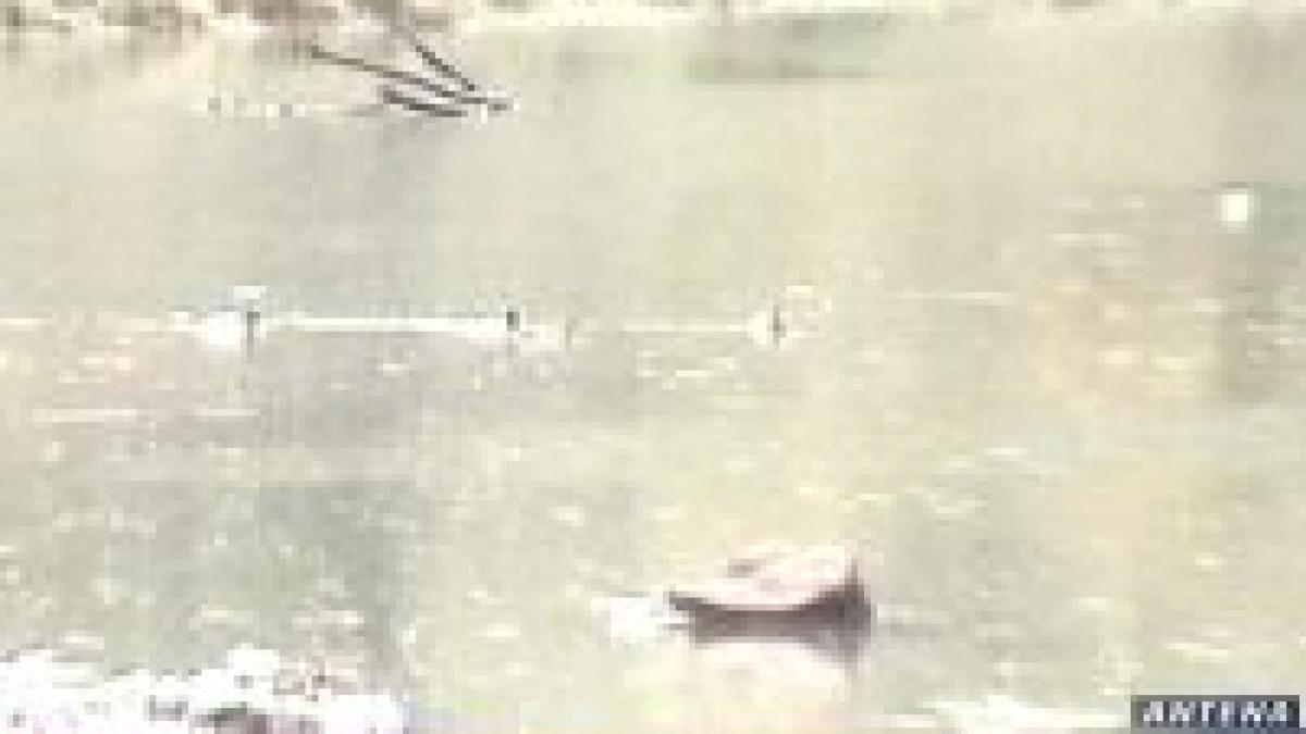 dunarea poluata cu resturi menajere dupa inundatii