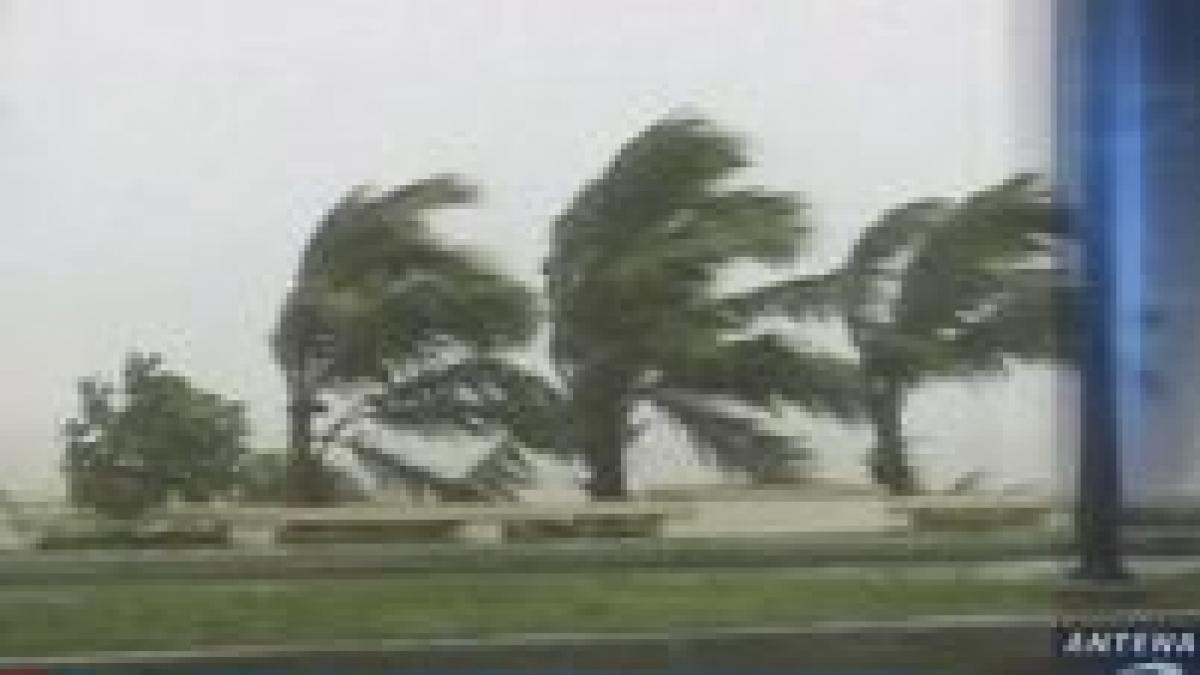 furtuna noel a devastat caraibele si ameninta florida 80 de morti