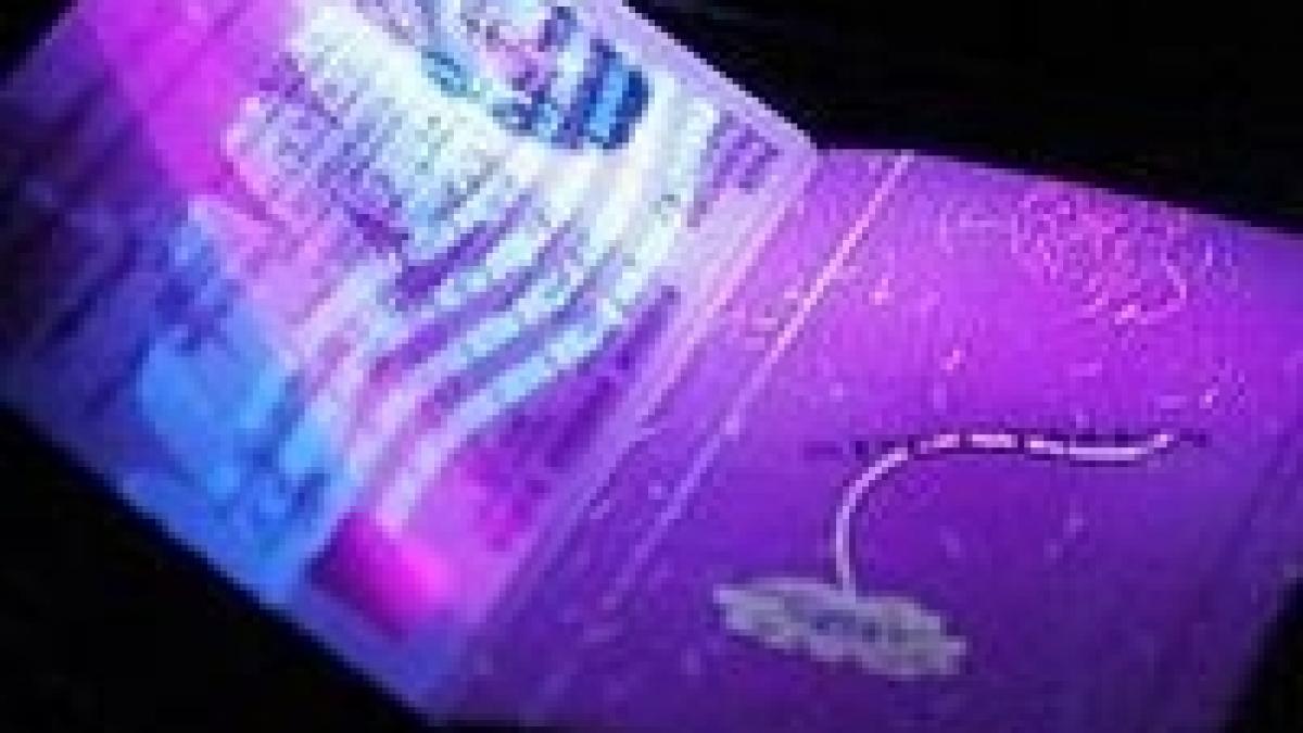 germanii au trecut la pasapoarte biometrice