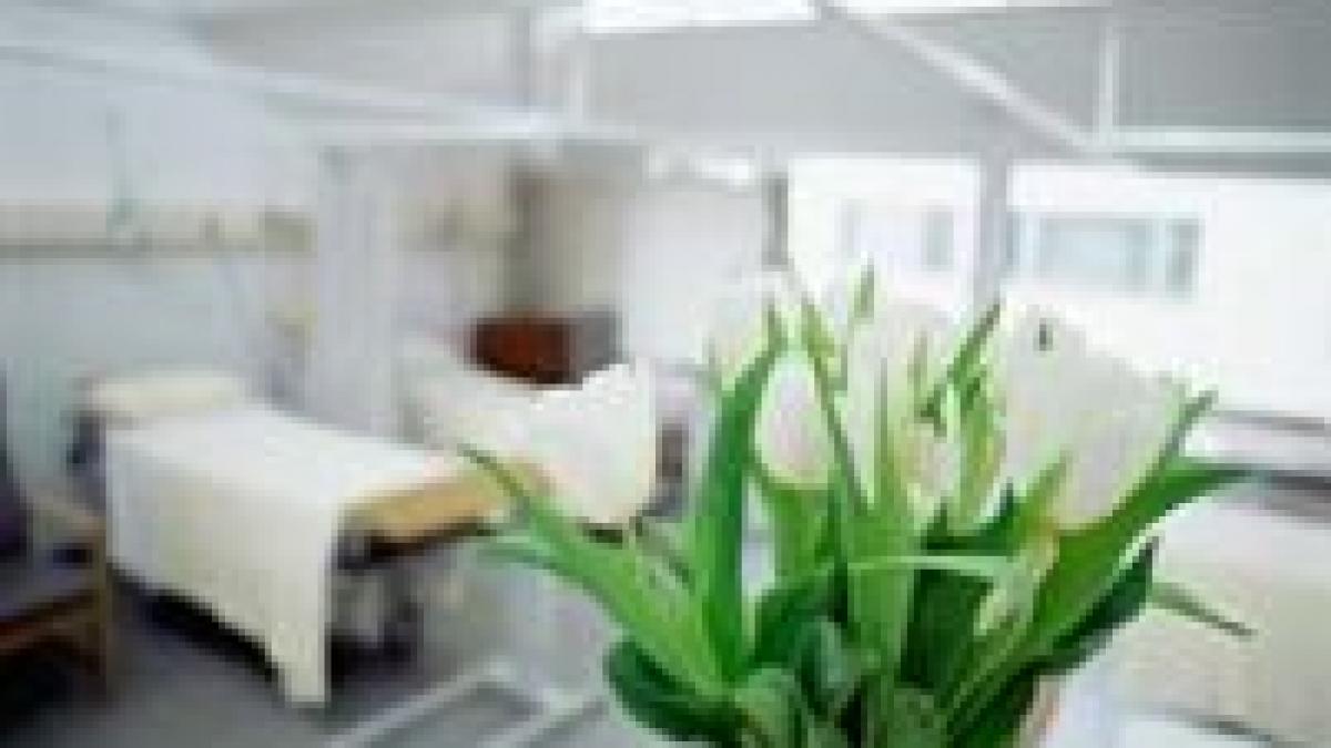 englezii vor sa interzica florile in spitale in numele sanatatii