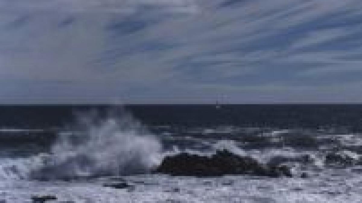 porturile de la marea neagra au fost inchise din cauza vantului puternic