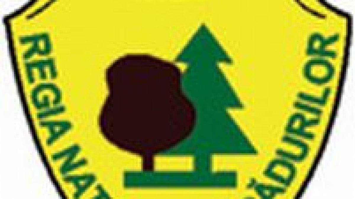 peste 4 000 de angajati ai romsilva vor fi disponibilizati in 2008