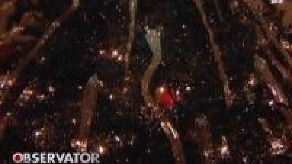 iarna asta se poarta bradul negru cu turturi de cristal video