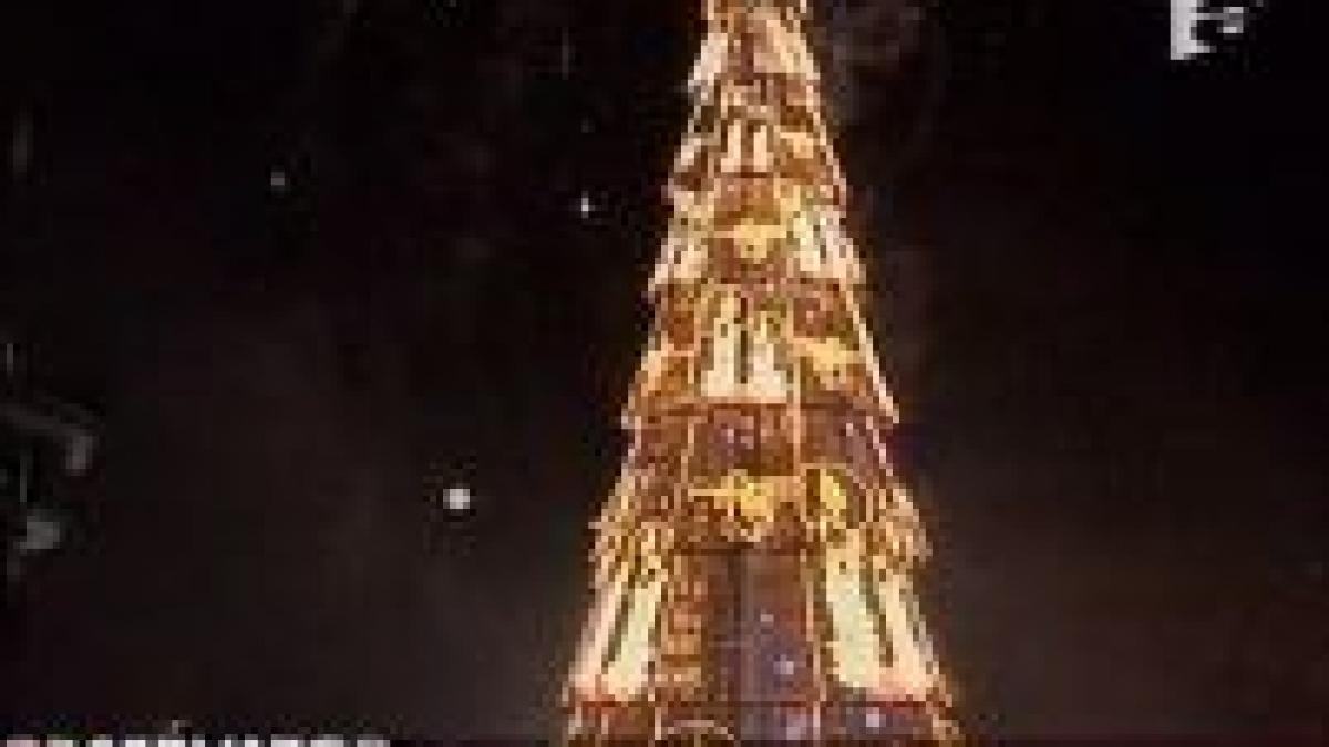 portughezii se mandresc cu un brad la fel de inalt ca cel de la bucuresti