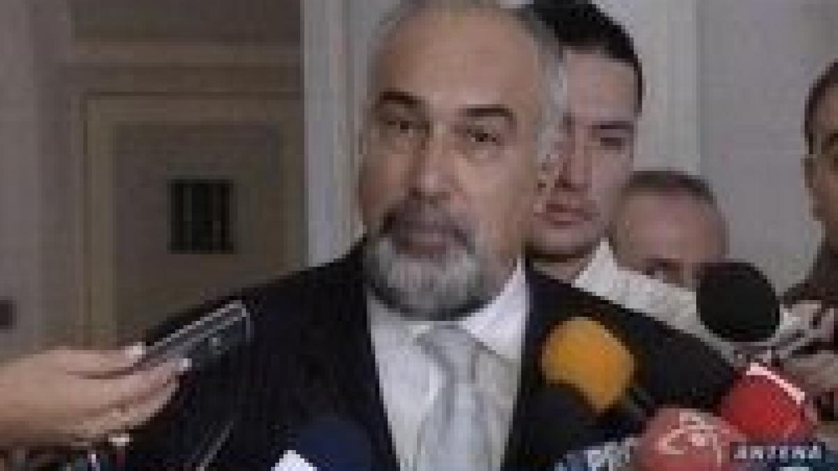 vosganian vrea solutii urgente de la bruxelles pentru taxa auto