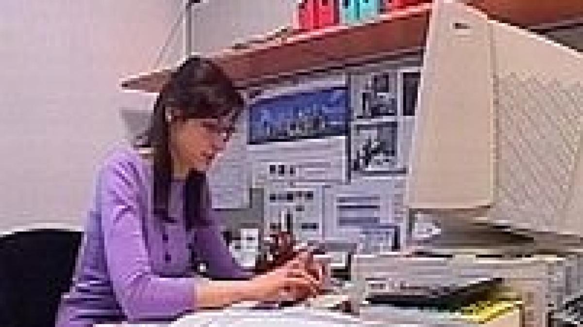 csa a lasat 4 asiguratori fara autorizatie de functionare