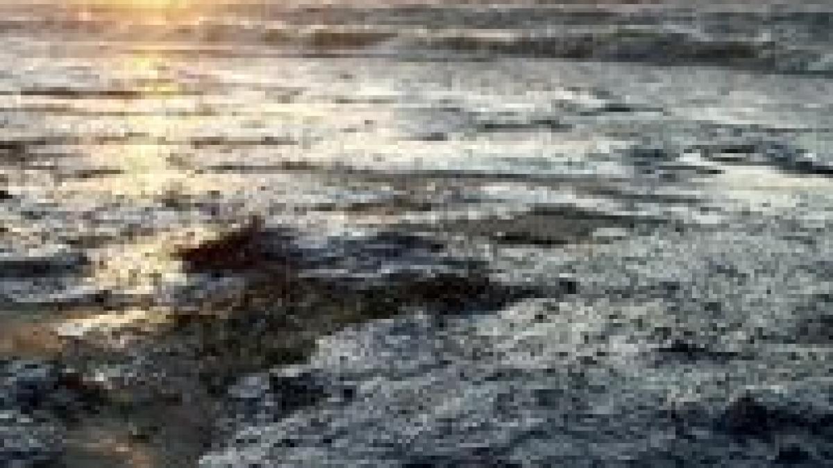 dezastru ecologic sulful din navele scufundate polueaza marea neagra