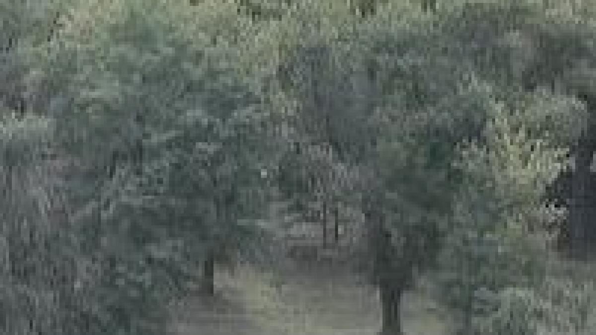 modificarea legii mediului ne poate lasa fara parcuri