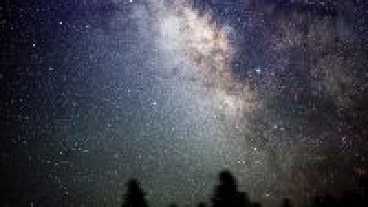 8 stele pitice albe descoperite în Calee Lactee 