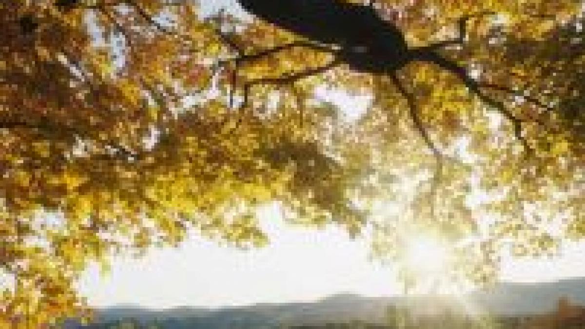 scapam de ploi vreme calda in acest weekend