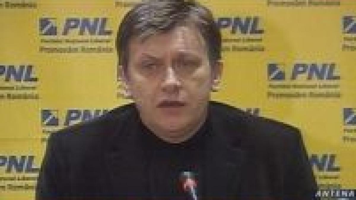 crin antonescu nu am discutat despre remanierea guvernului