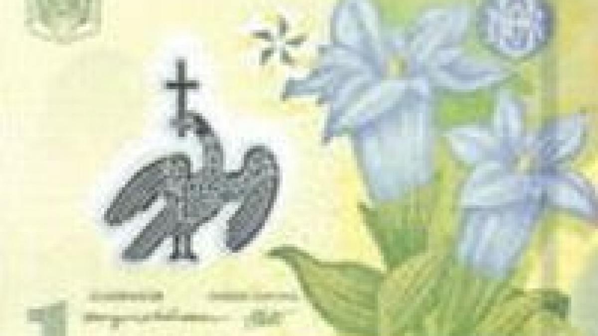 euro scade dupa cresterea accelerata din ultima perioada