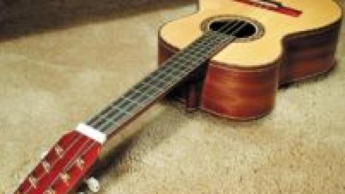 basescu a primit o chitara spaniola politicienii vor dansa dupa cum le canta el