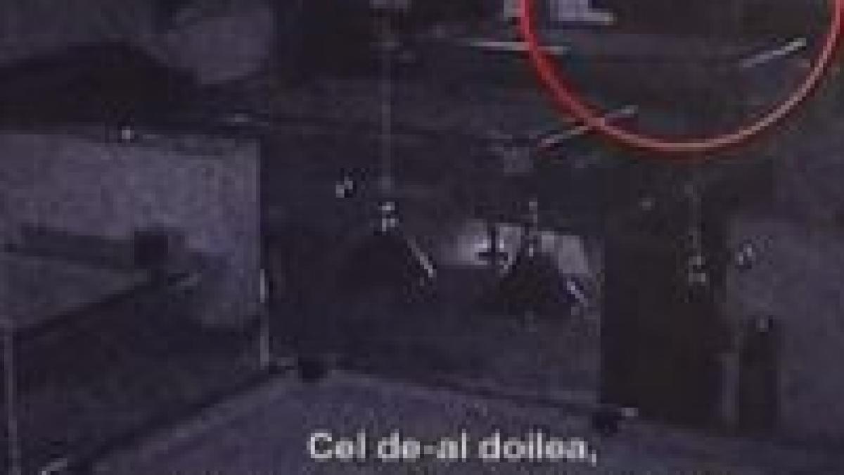 violente intr un cazino din craiova video