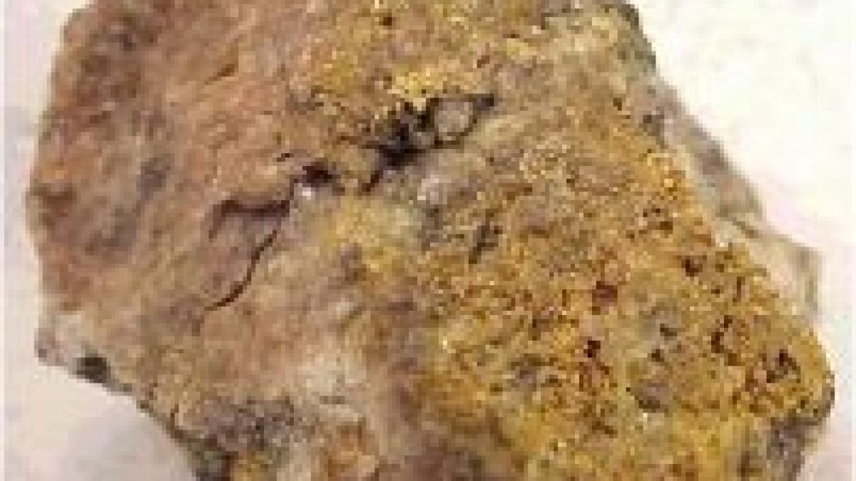 harta romaniei din aur masiv este expusa in localtatea brad