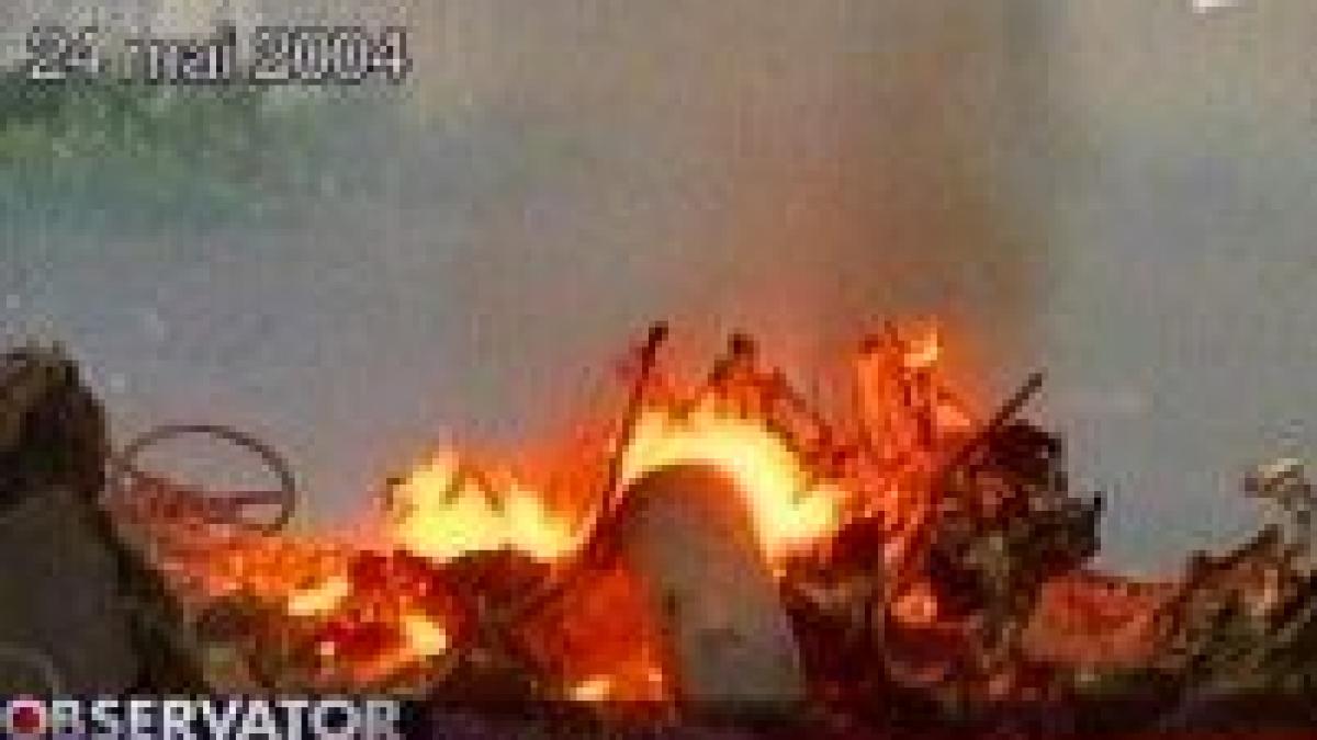 doi dintre eroii de la mihailesti s au facut pompieri