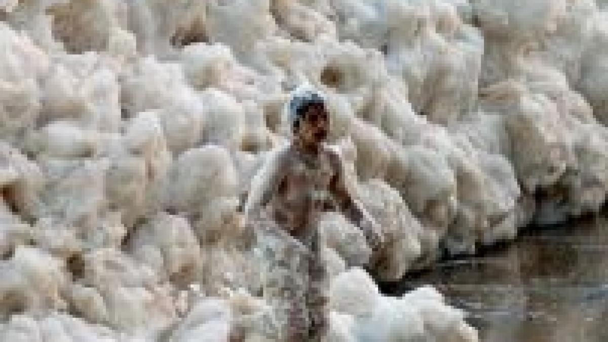 coasta de cappuccino o plaja intreaga a fost inghitita de spuma foto