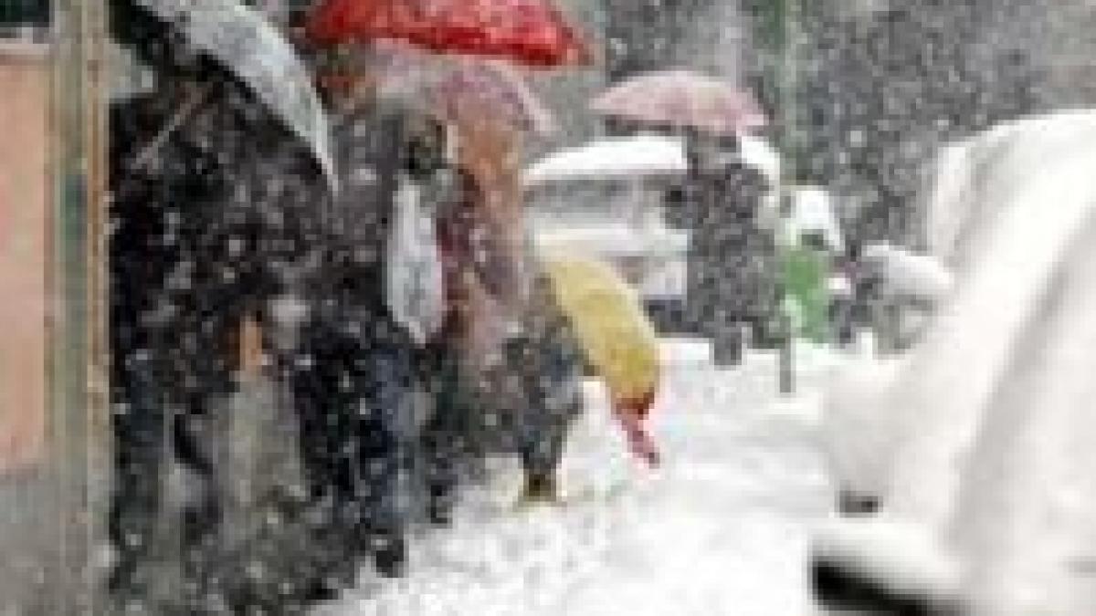 ninsorile lasa fara curent zeci de localitati