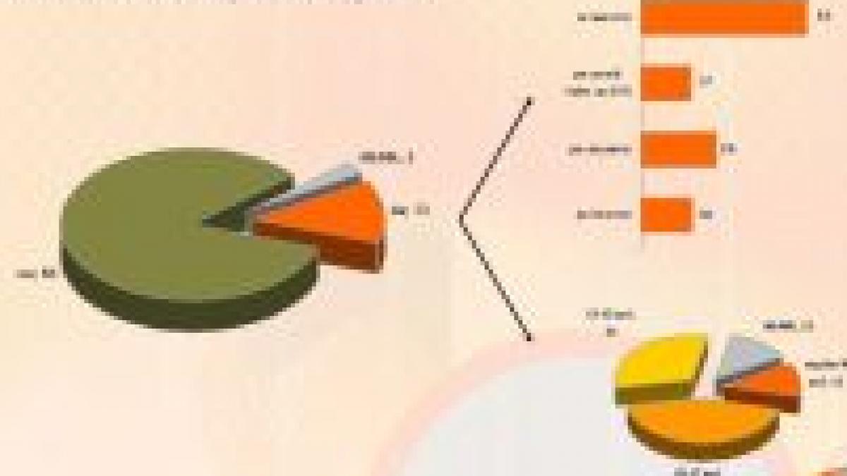 cna un sfert dintre copiii de 12 15 ani au vizionat un film porno