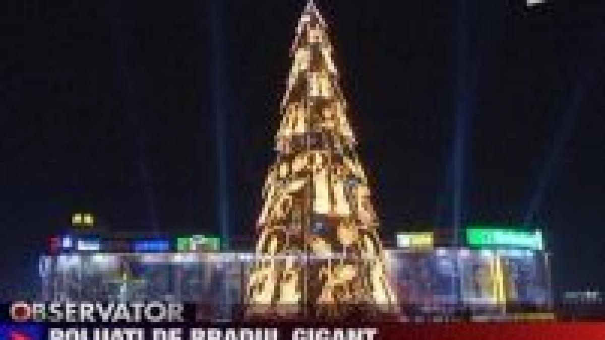 cel mai mare brad de craciun din europa polueaza bucurestiul