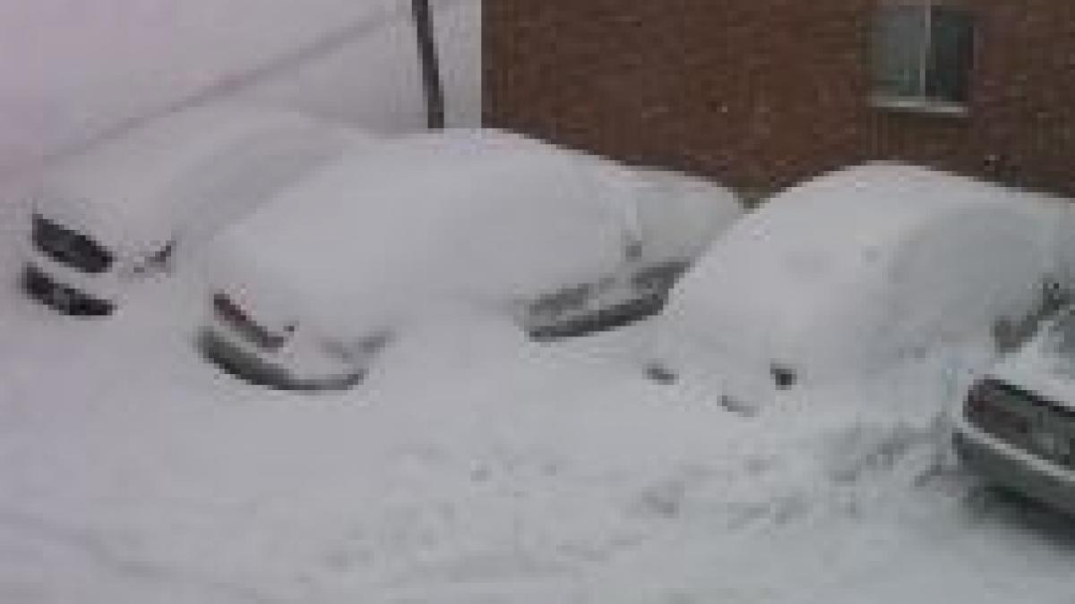 mai multe tari europene se confrunta cu frigul