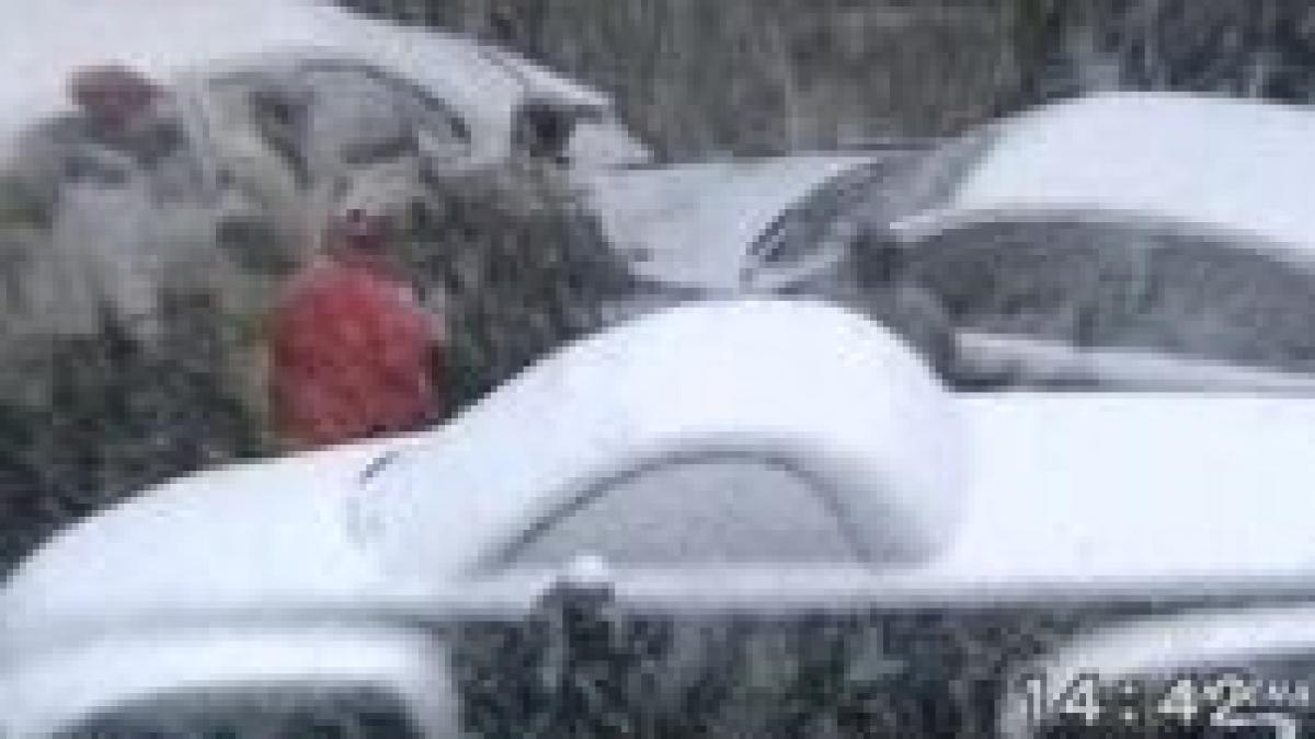 accidentul lui ludovic orban filmul integral