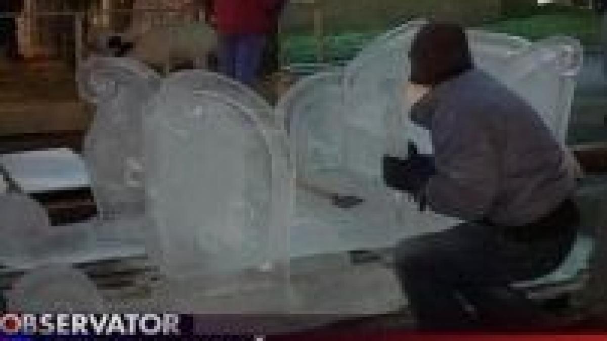 oradea mosul vine cu o sanie si doi reni de gheata