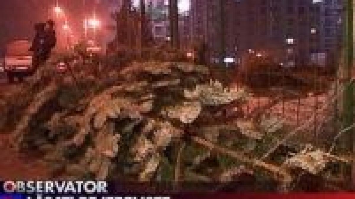 brazi pe gratis in piata sudului