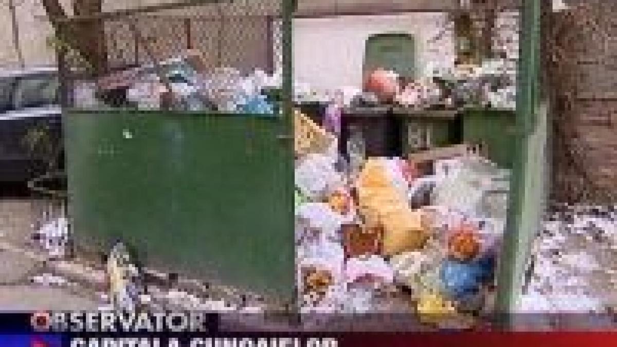 capitala ingropata in gunoaie in zilele de sarbatoare video