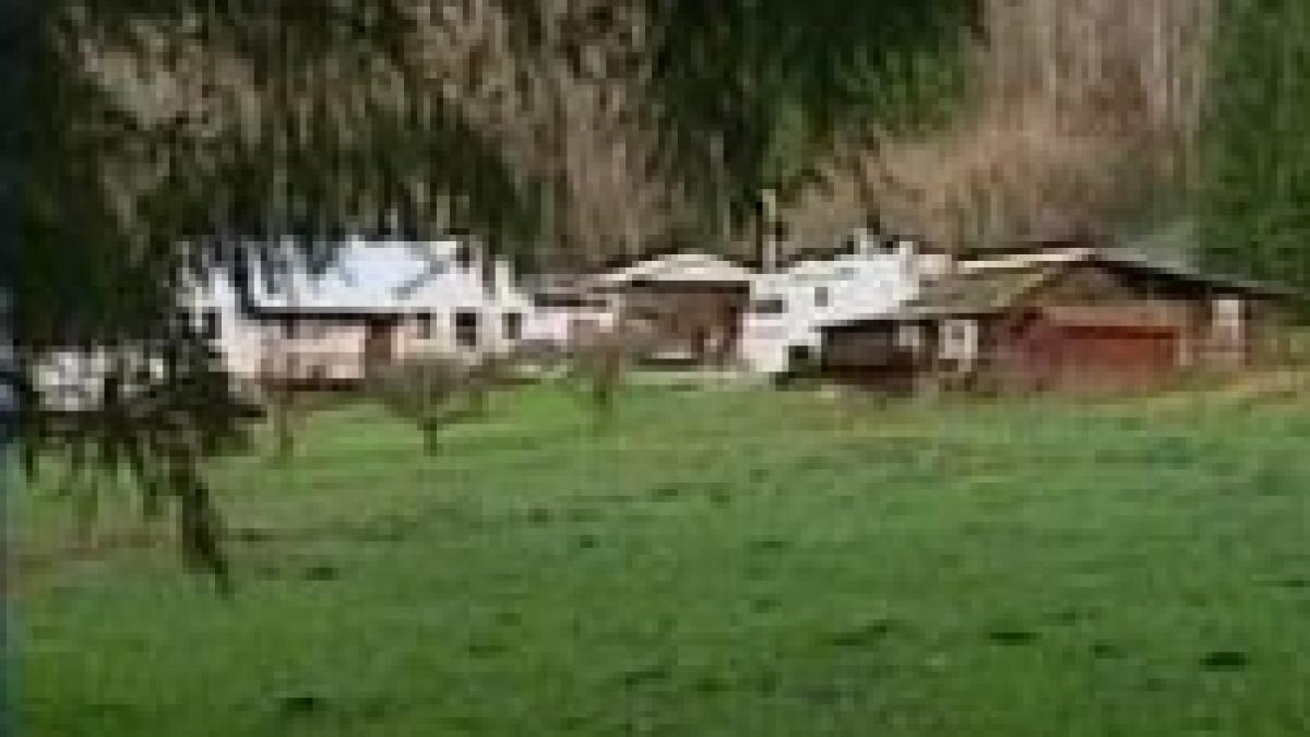 sua masacru la o ferma in ajunul craciunului video