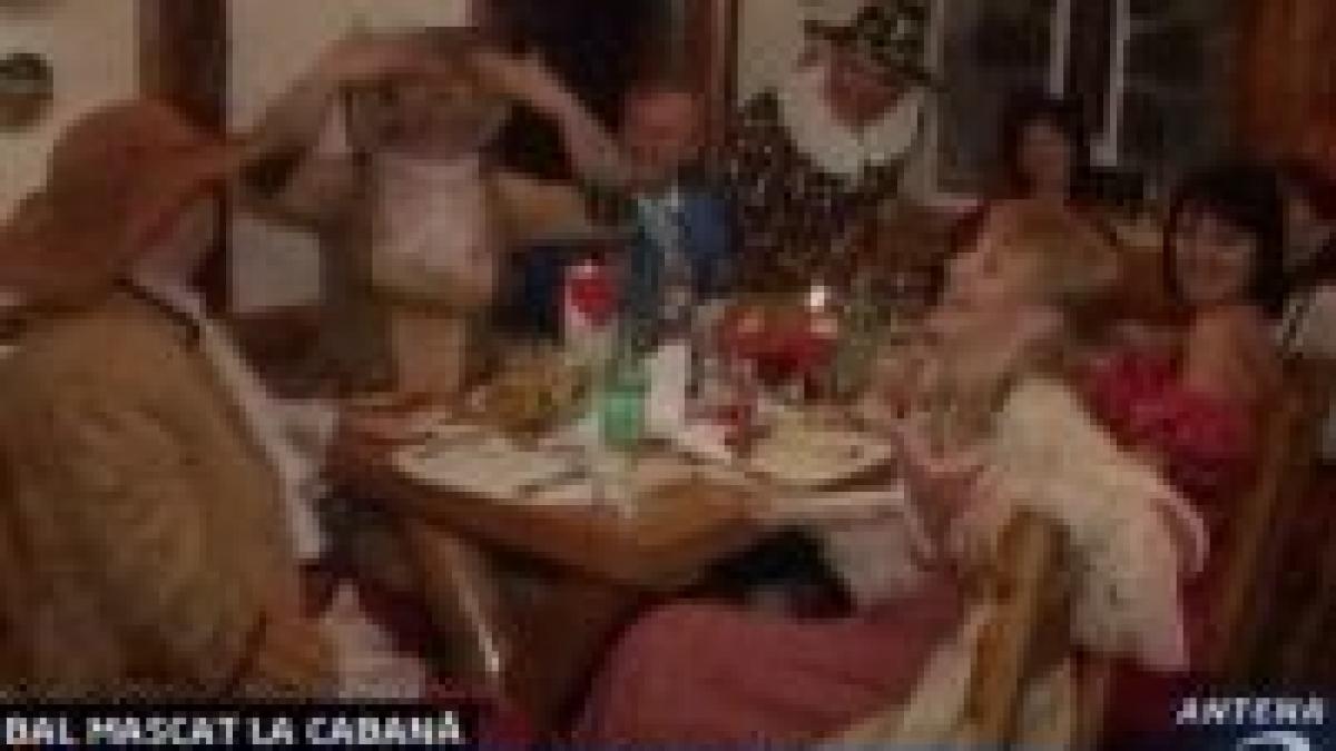 bal mascat pentru turistii din busteni video