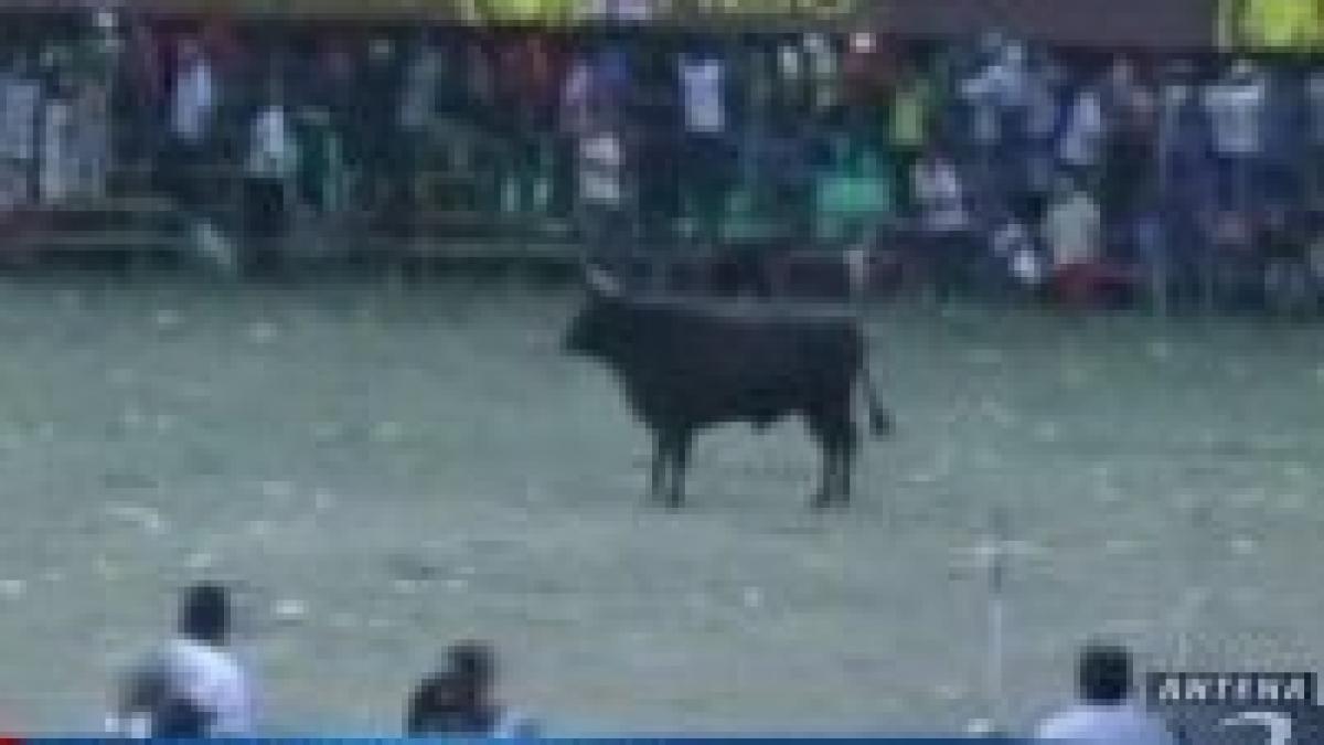 columbia rodeo de anul nou soldat cu victime video