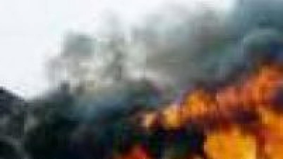 bucuresti clubul fratelli distrus intr un incendiu